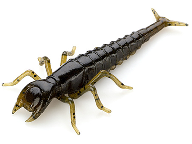 Nălucă - FishUp Diving Bug 5cm #043 Watermelon Brown Black 5cm #043 Watermelon Brown Black