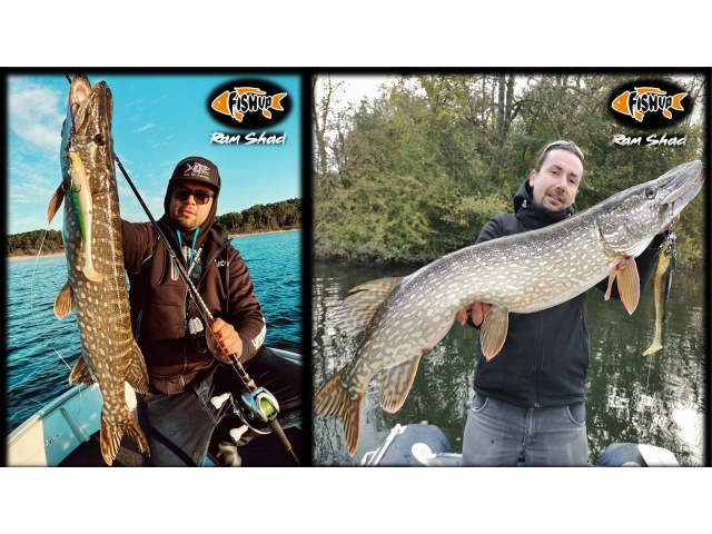 FishUp RAM Shad 20.3cm #359 Baby Minnow 20.3cm #359 Baby Minnow [4]