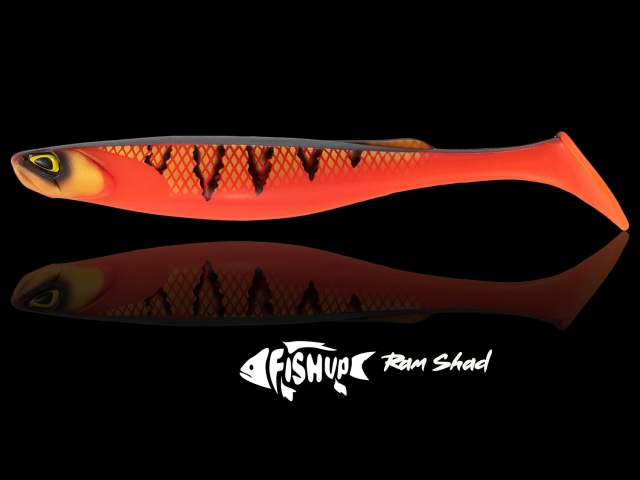 FishUp RAM Shad 20.3cm #359 Baby Minnow 20.3cm #359 Baby Minnow [1]