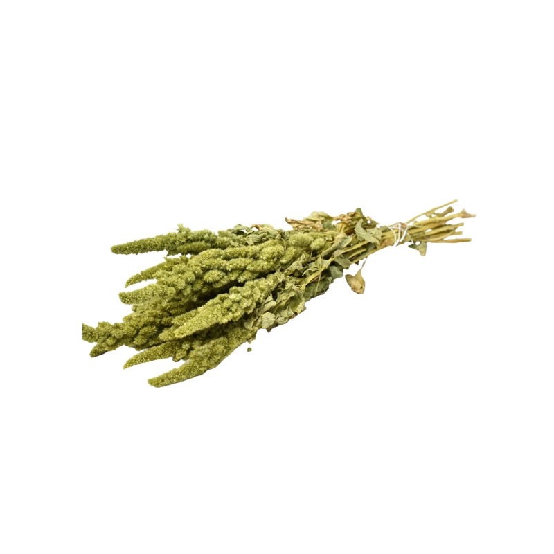 Cadouri Jucării Copii Grădiniță - Foliage Amaranthus, punga 12g, Colorarte