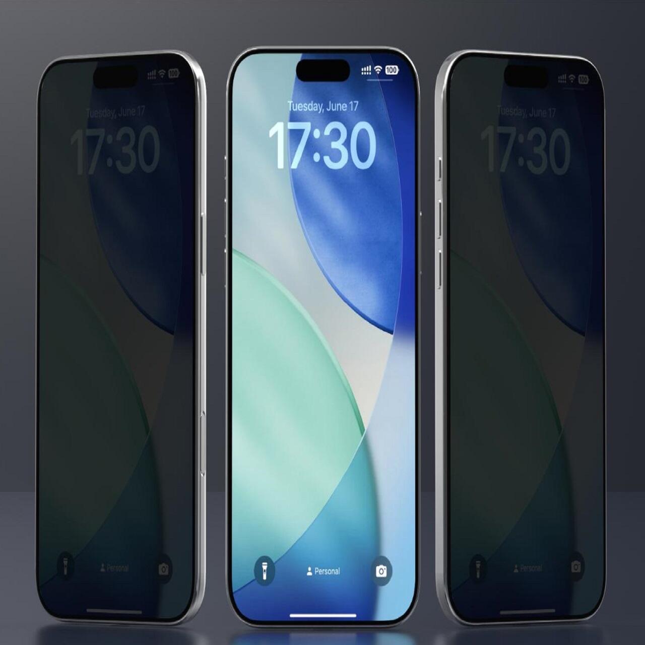 Devia Folie Sticla Privacy premium cu aplicator inclus Van Series, Full Screen, iPhone 17 [3]