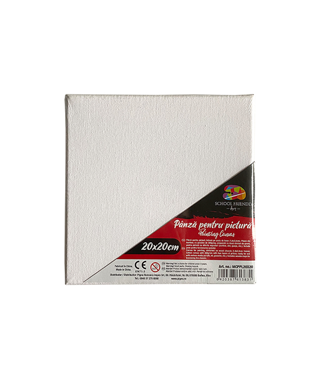 Accesorii Craft - Panza pentru pictura pe sasiu 20 x 20 cm sf art pigna