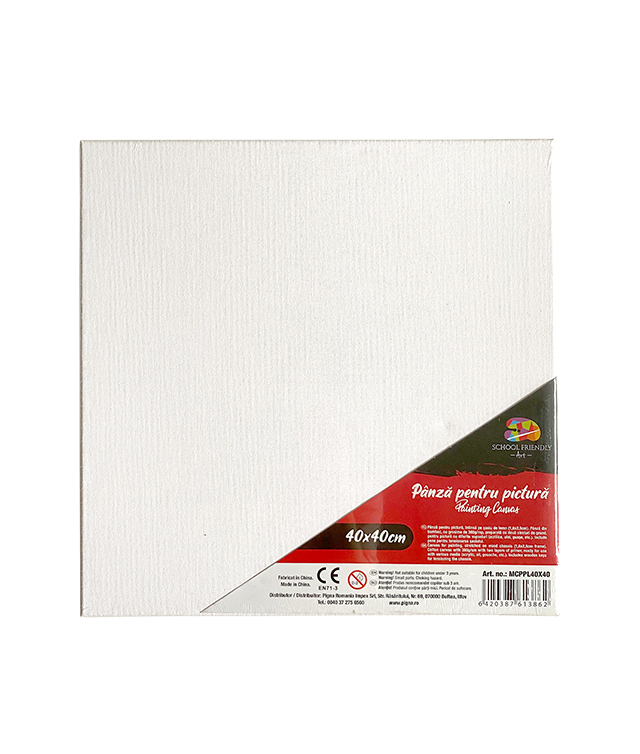 Accesorii Craft - Panza pentru pictura pe sasiu 40 x 40 cm sf art pigna