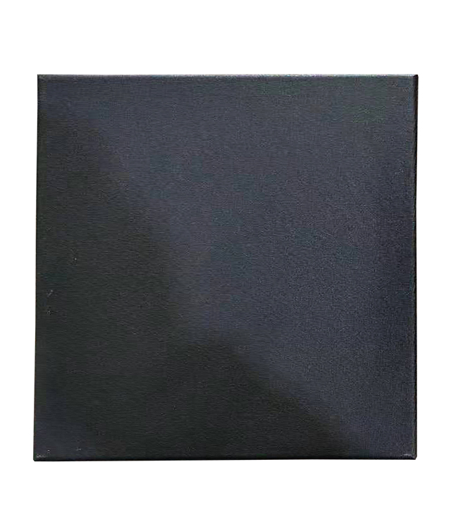 Accesorii Craft - Panza pentru pictura pe sasiu neagra 30 x 30 cm sf art pigna