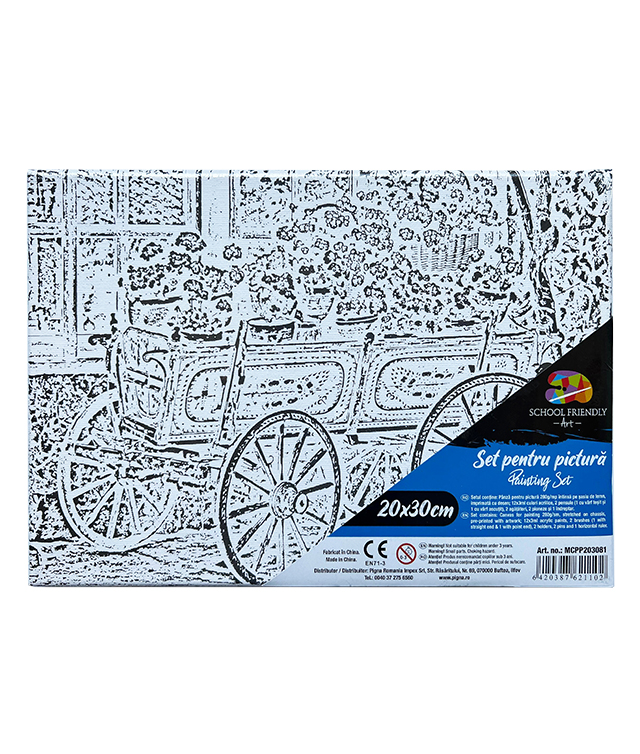 Art & Craft si Artizanat - Panza predesenata pe sasiu 20*30cm flori 2 sf art pigna