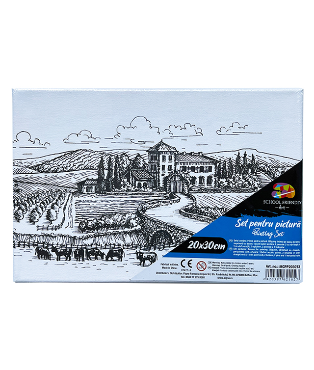Art & Craft si Artizanat - Panza predesenata pe sasiu 20*30cm peisaj sf art pigna