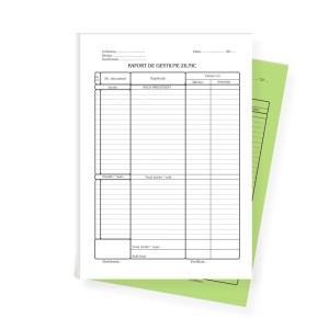 Birotică și Papetărie - Raport  gestiune zilnic autocopiativ l03479