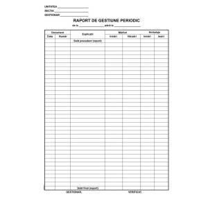 Birotică și Papetărie - Raport  gestiune zilnic l03486