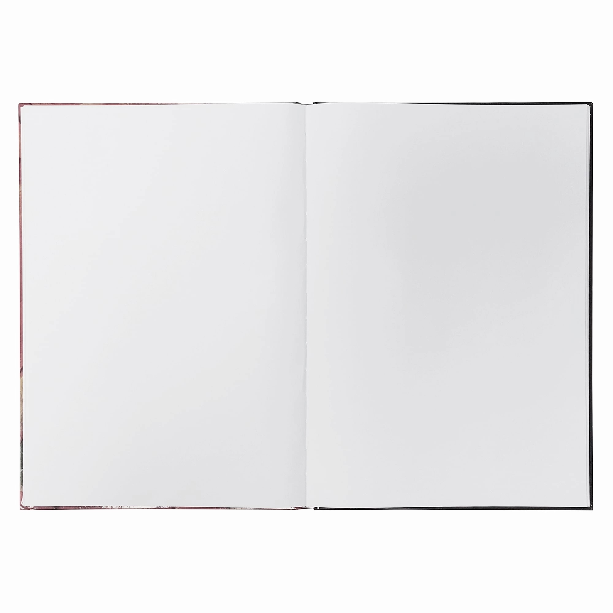 Registru a4 96 file velin diverse modele educa [1]