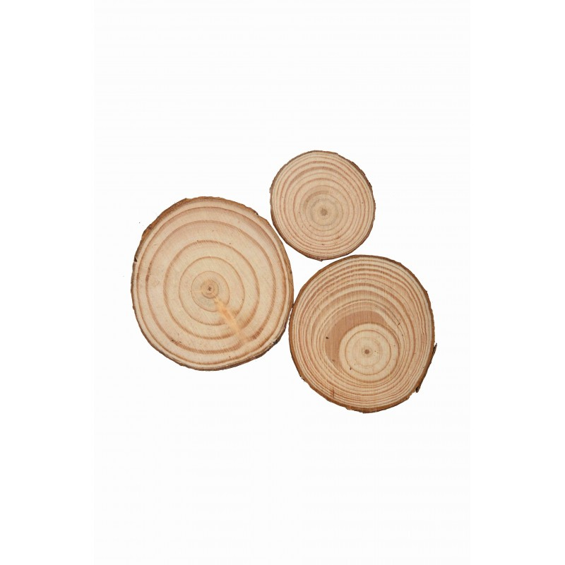 Accesorii creatie - lemn - rondele, 3.5-6cm, set 3 buc, Colorarte [1]