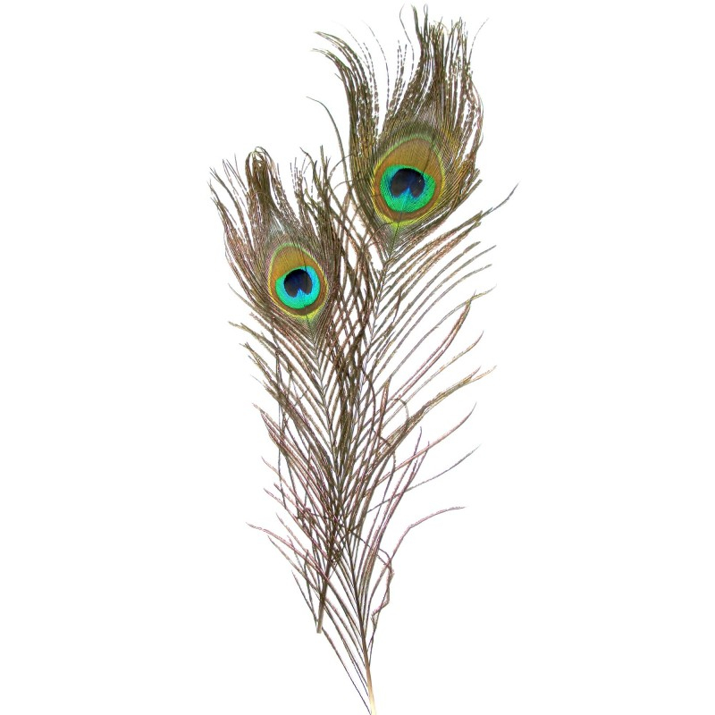 Accesorii creatie - pene, 25cm, paun, set 2 buc, Colorarte [1]