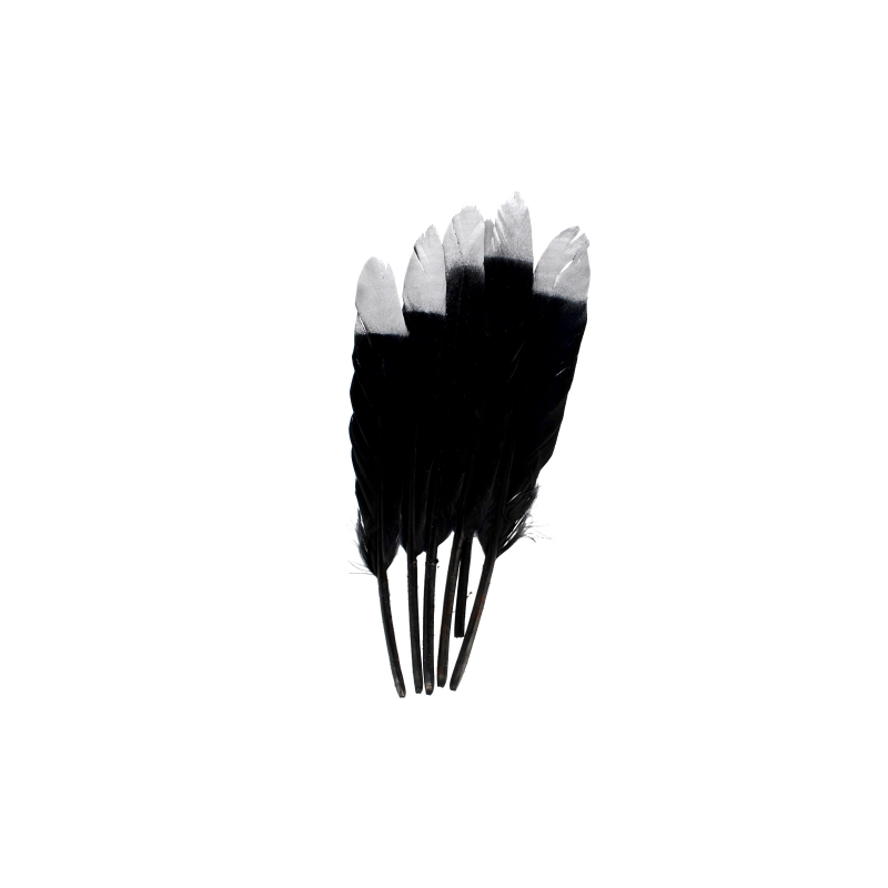 Accesorii creatie - pene, negru, argintiu, 12-15cm, set 6 buc, Craft with Fun, 463663 [3]