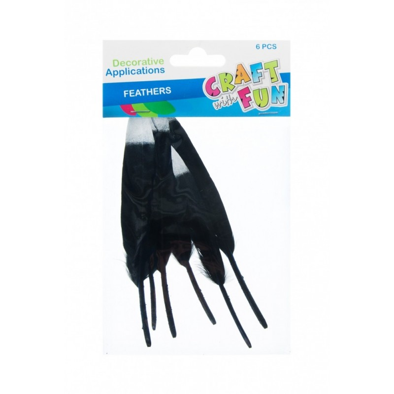 Accesorii creatie - pene, negru, argintiu, 12-15cm, set 6 buc, Craft with Fun, 463663 [2]