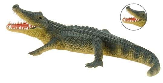 Aligator [1]