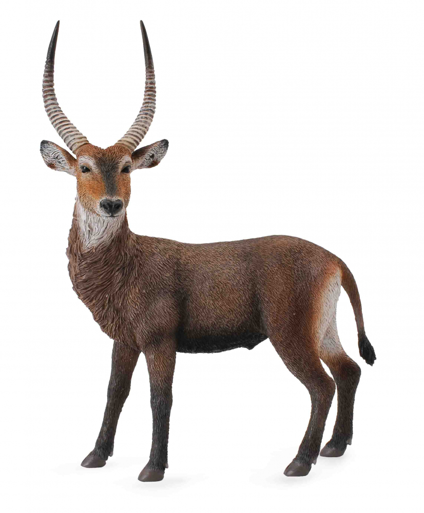 Antilopa africana- Collecta [1]