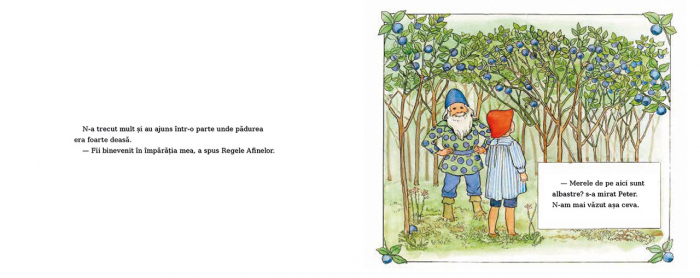 Aventurile lui Peter in Tara Afinelor - Elsa Beskow [3]