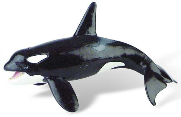 Balena Orca [1]