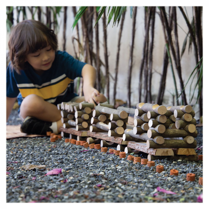 Big Branch Blocks, crengi mari de construit, Guidecraft, 3-10 ani [2]