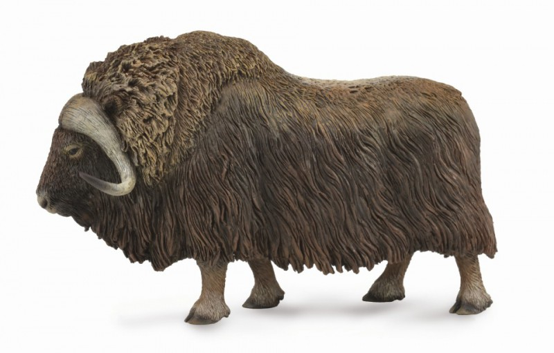 Bivol - Collecta [1]