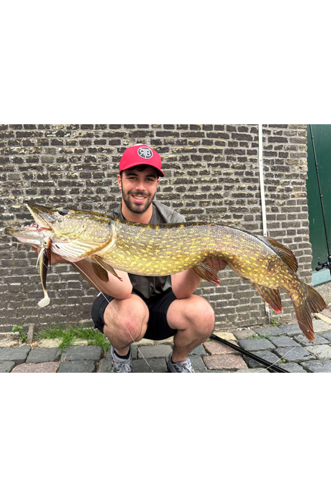 Blackbay BlackBug Beetle Junior 17cm 35g Galaxy Roach 17cm 35g Galaxy Roach [4]