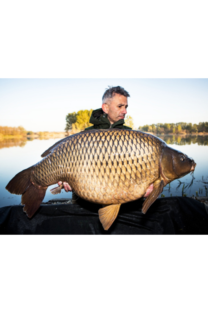 Boilies de carlig special intarit Nutty Scopex 20mm [4]