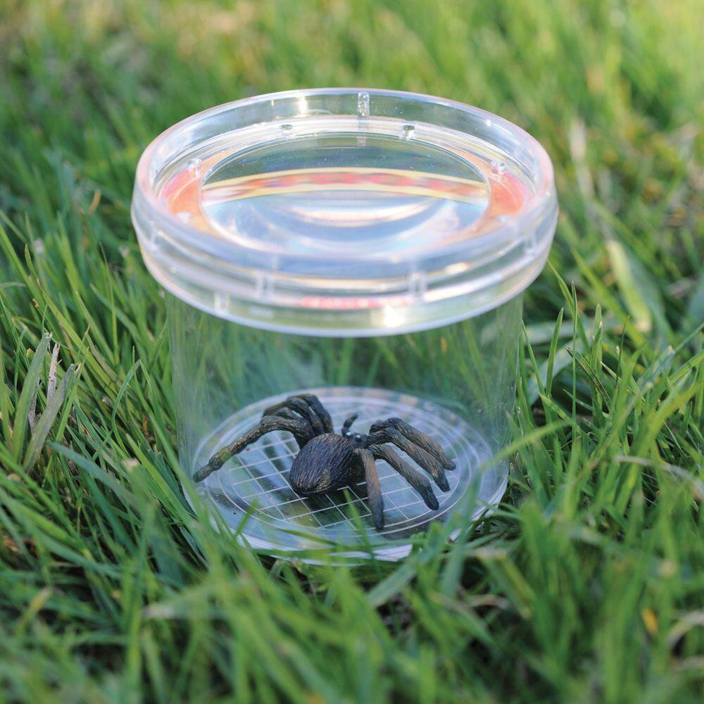 Borcan cu lupa pentru observarea insectelor [2]