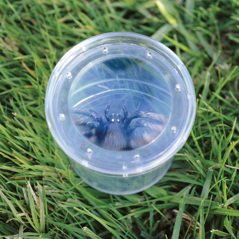 Borcan cu lupa pentru observarea insectelor [1]