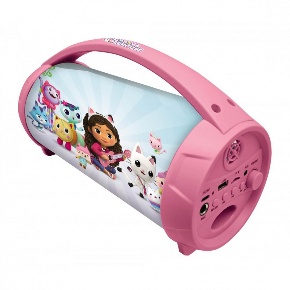 Boxa cu microfon si lumini, gabby [2]