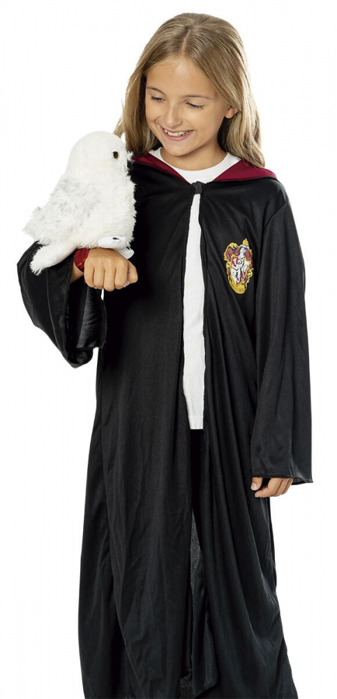 Bufnita Hedwig din Harry Potter [3]
