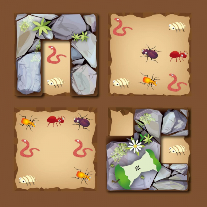 Jocuri de logica si gandire ⭐ Busy Bugs, Smart Games [5]