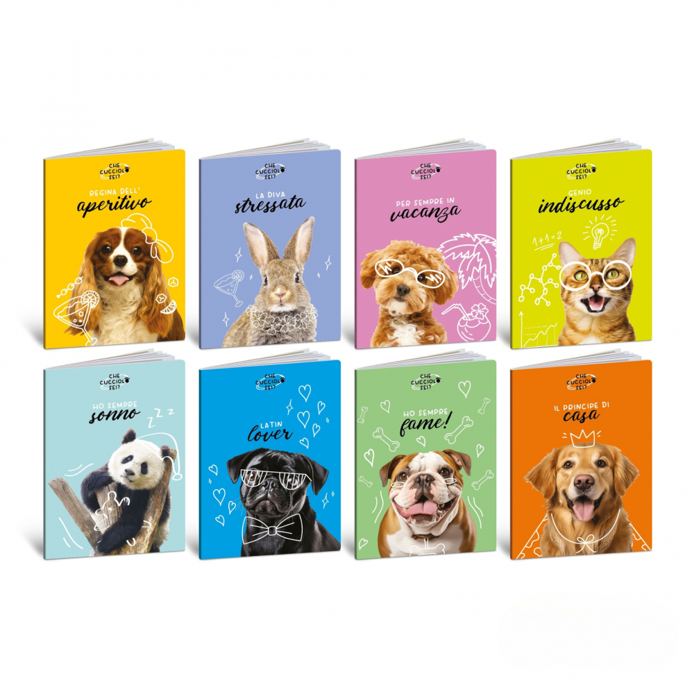 Caiet A4 de exercitii, coperta tare - Ce animalut esti?, 80 g/m2, 40 pag. (Matematica), copii varsta  [1]