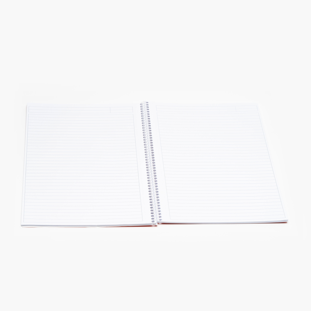 Caiet spira a4 60 file dictando school notte [2]