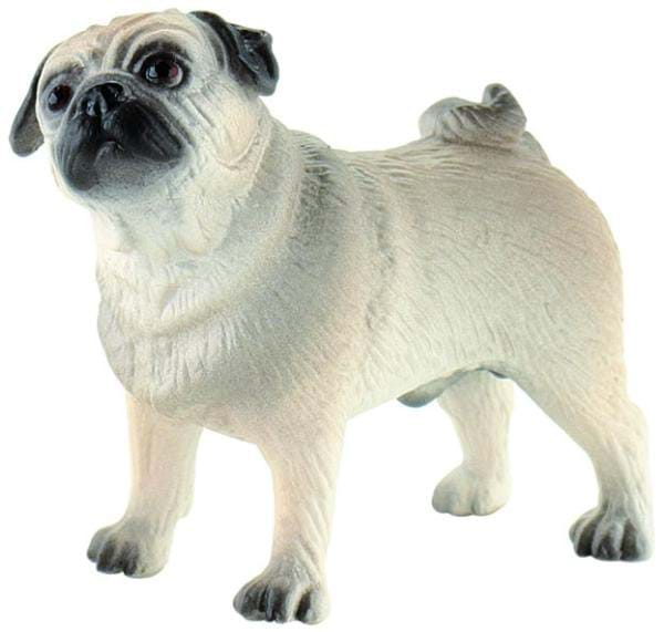 Caine rasa "MOPS" [1]