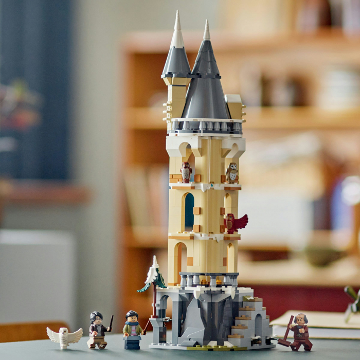 Camera bufnitelor de la Hogwarts, varsta de la 8 ani la 12 ani [5]