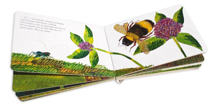 Cantecul greierasului - Eric Carle [2]