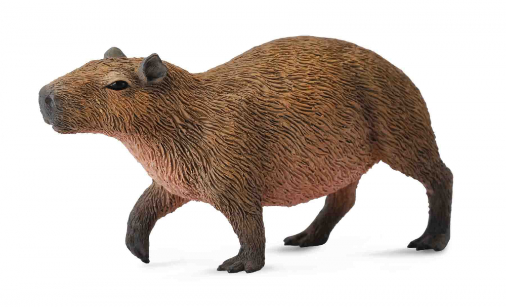 Capibara- Collecta [1]