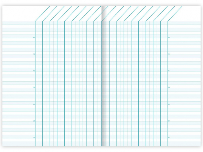 Carnet special A5 capsat, 20 file, Fantasy, Clairefontaine [5]
