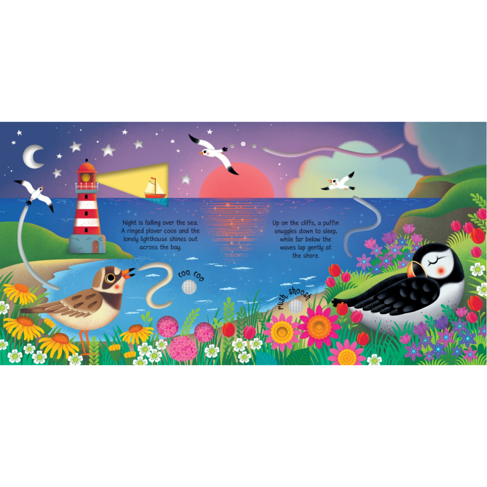 Carte Sonora Interactiva, La Mare, Seashore Sounds,  6 Luni+ [3]