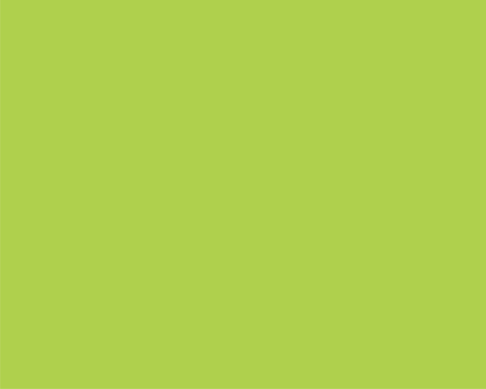 Carton copiator a4 verde lime intens 160g 250/top lg46 niveus [2]