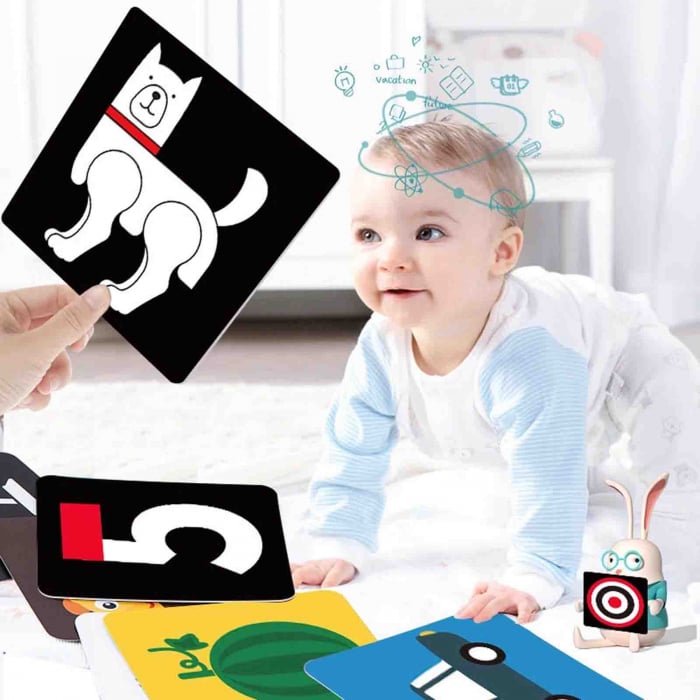 Cartonase educative pentru bebelusi, Animale, 12 luni+ [2]