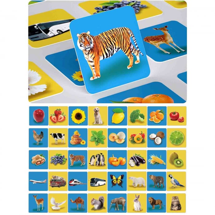 Cartonase educative pentru bebelusi, Animale, 12 luni+ [3]