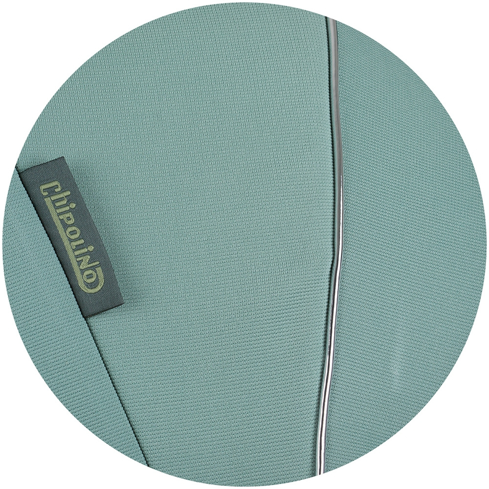 Carucior sport Chipolino Move On pastel green [10]