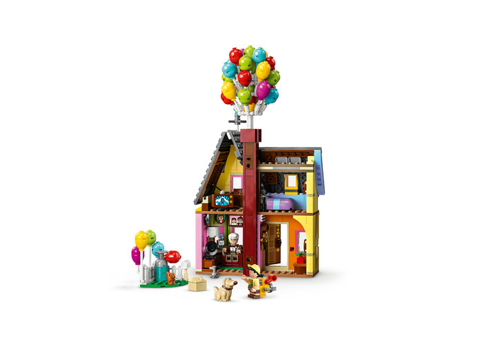 Casa din filmul Up, varsta de la 9 ani la +15 ani [10]