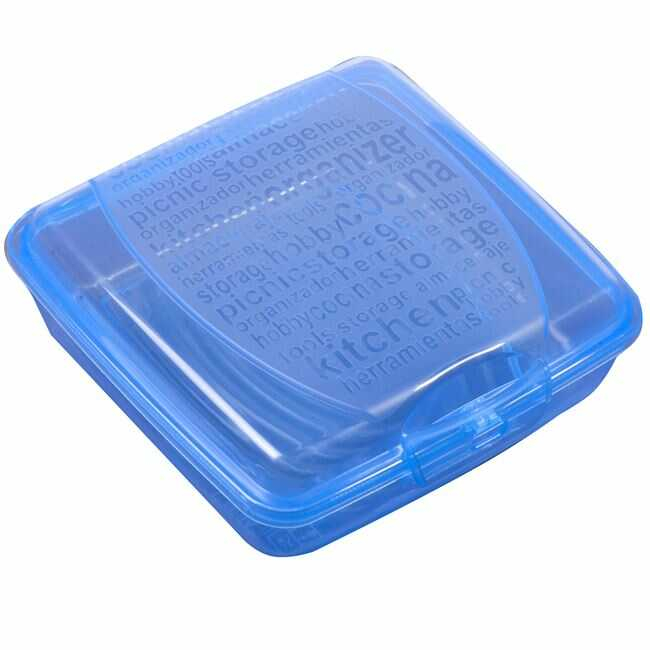 Caserole plastic pentru Sandwich Toast, Baieti - Albastru [2]