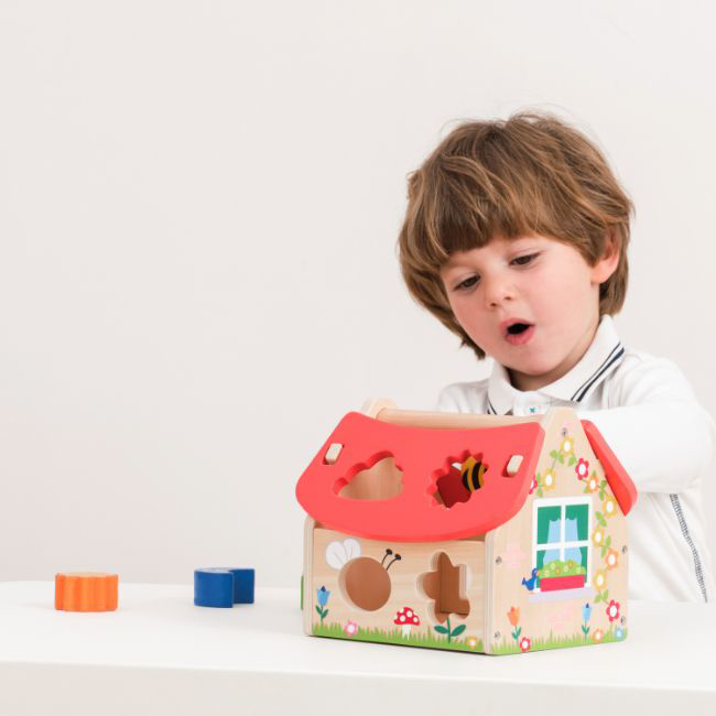 Casuta Shape Sorter cu forme [4]