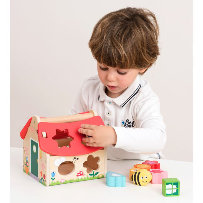 Casuta Shape Sorter cu forme [5]