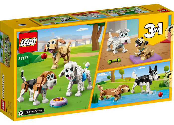 Catei adorabili, varsta de la 7 ani la 13 ani [3]