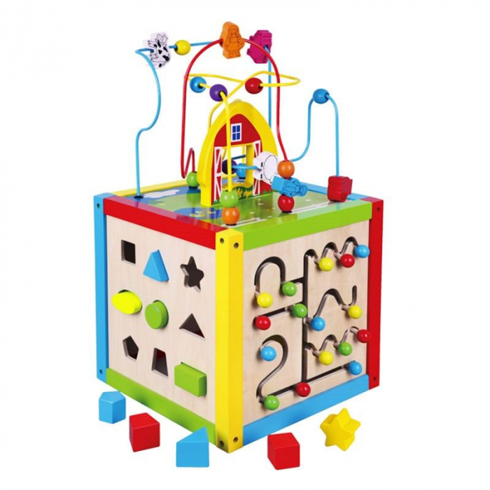 Centru de activitati mare 5 in 1 [1]