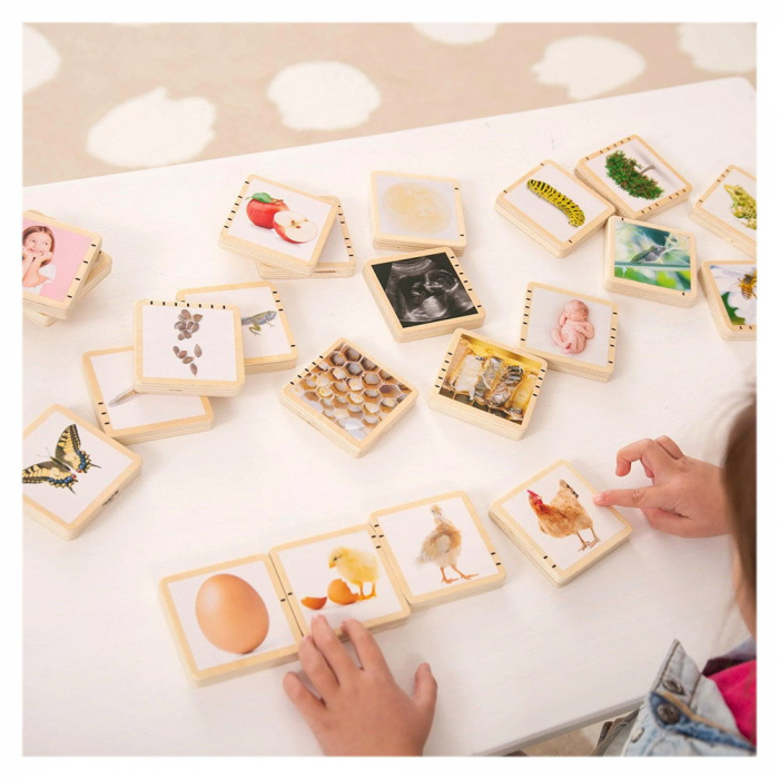 Ciclurile vietii, set placute din lemn, 24 buc., TickiT, 1-9 ani [2]