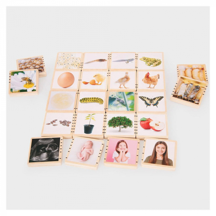 Ciclurile vietii, set placute din lemn, 24 buc., TickiT, 1-9 ani [5]